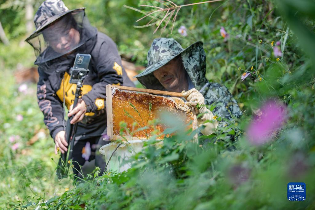 捕鱼下载 电玩城